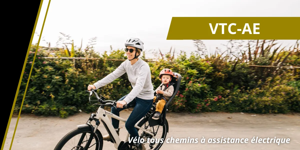 Vélo tous chemins à assistance électrique / vélo cargo - Saint rémy de provence